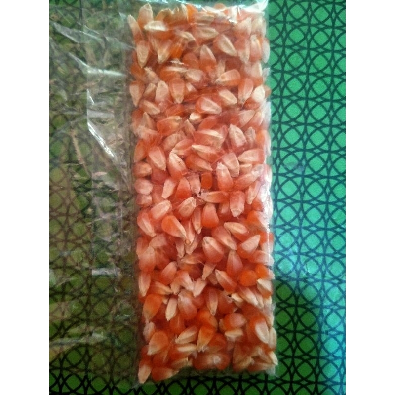 

Jagung Kristal