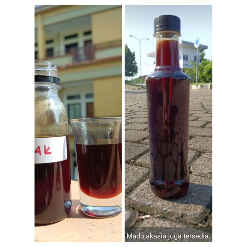 

madu acatia. asli dari Riau..