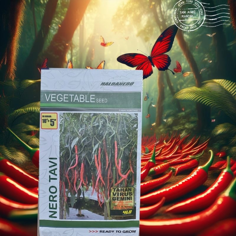 BENIH CABE MERAH NERO TAVI 15GR HALBANERO