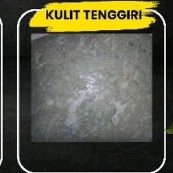 

kulit tenggiri