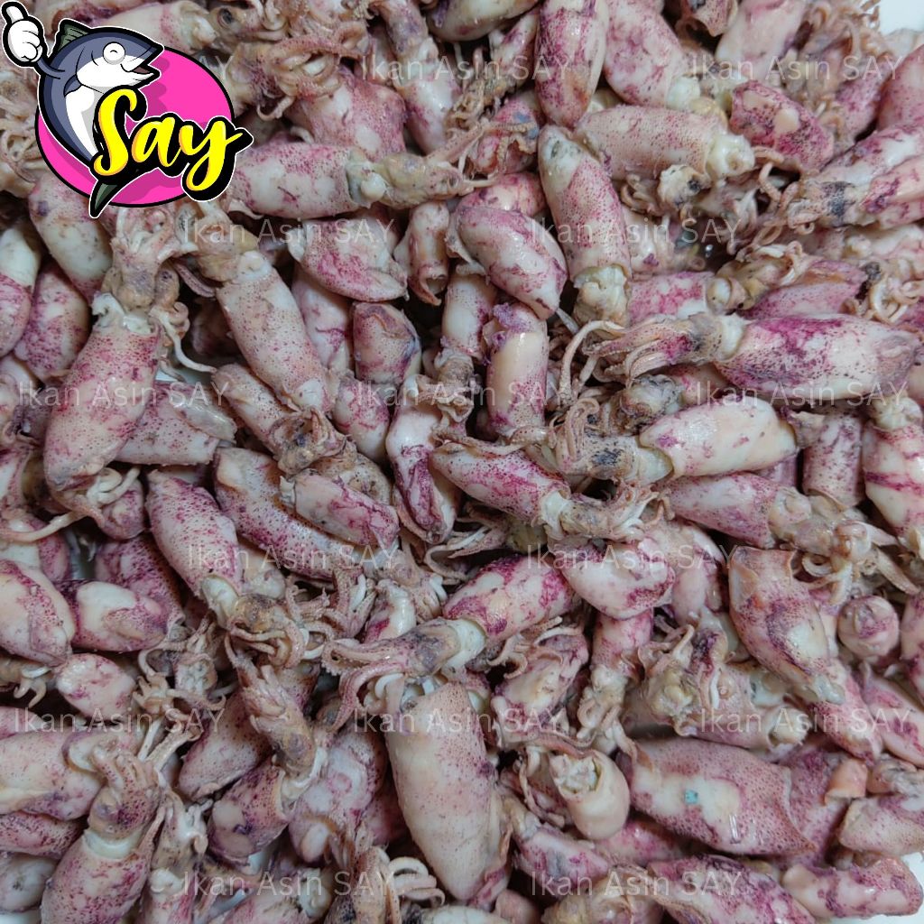 

Ikan Asin Cumi Baby / Sotong Rebus 500gr