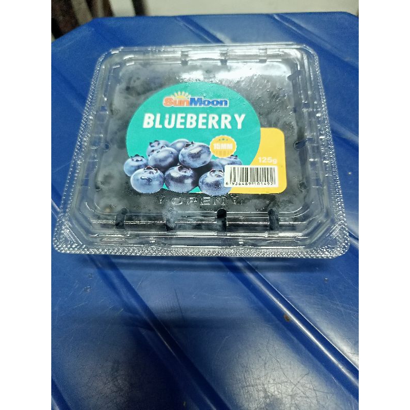 BUAH BLUEBERRY BLUBERI IMPORT FRESH