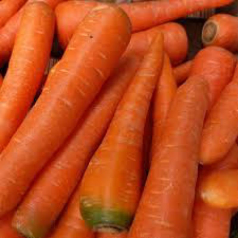 

wortel segar 250 gr