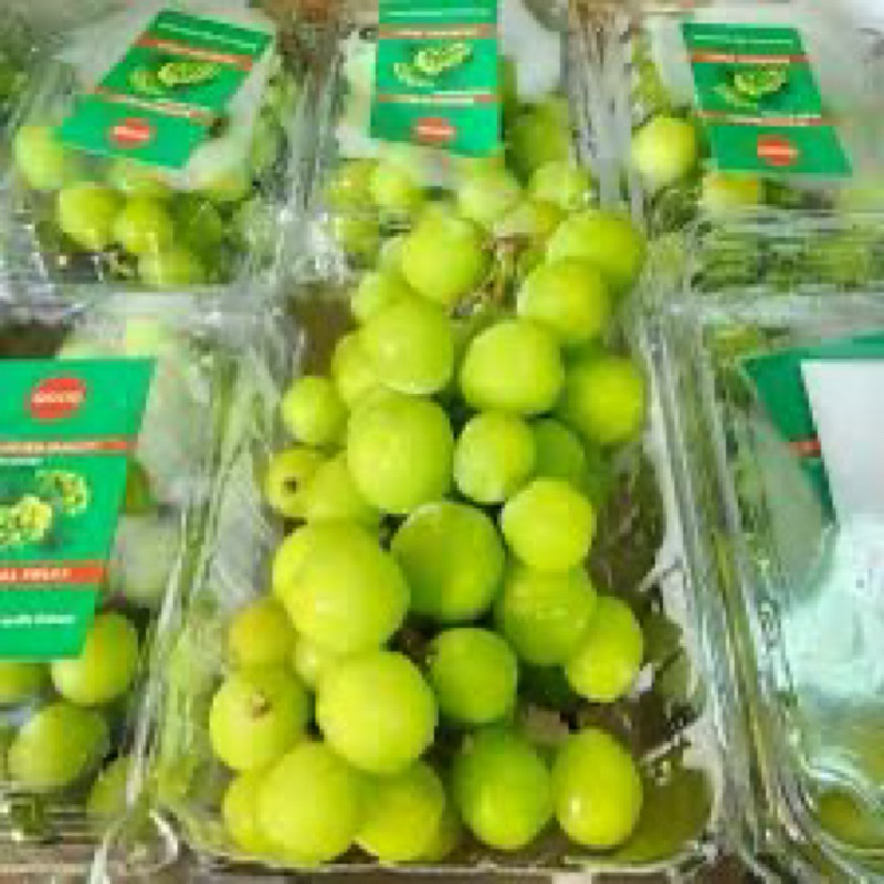 

INSTAN Anggur Muscat