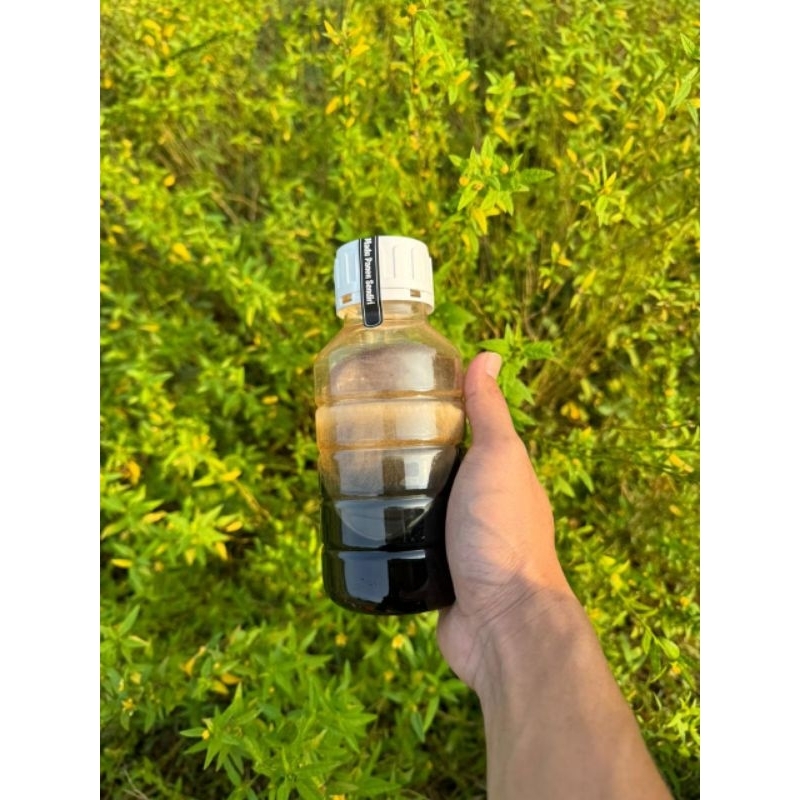 

Madu Mentah Murni Akasia Carpa panen sendiri 500g