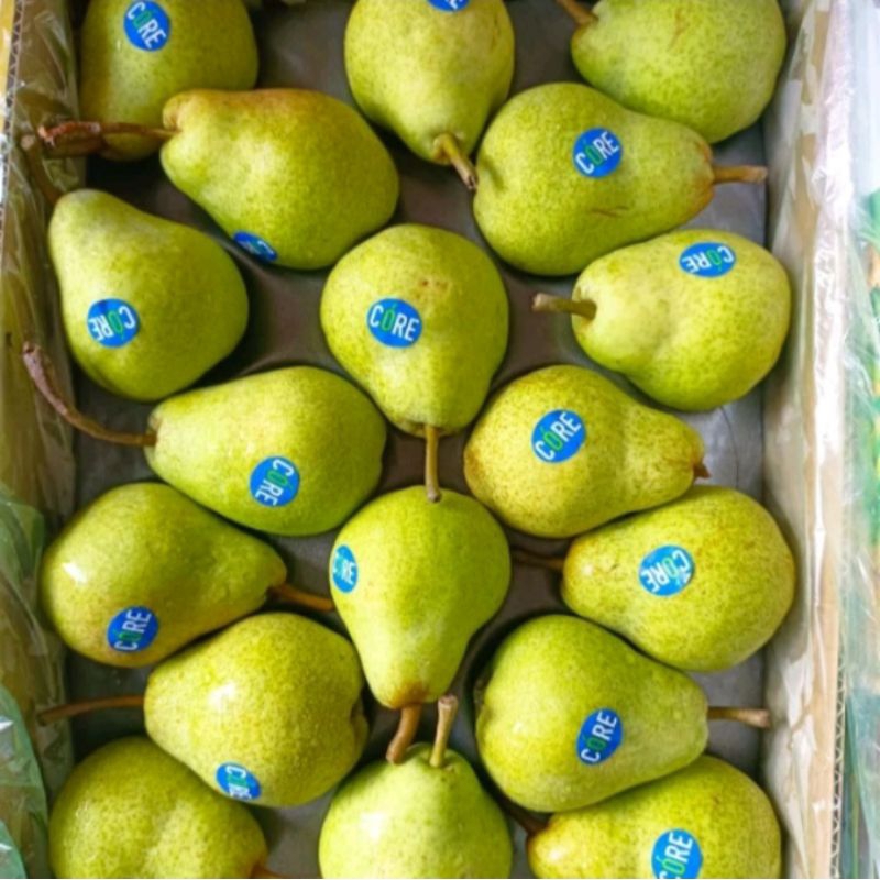 

PEAR PACKHAM / PEAR JAMBU / BUAH PIR 1kg