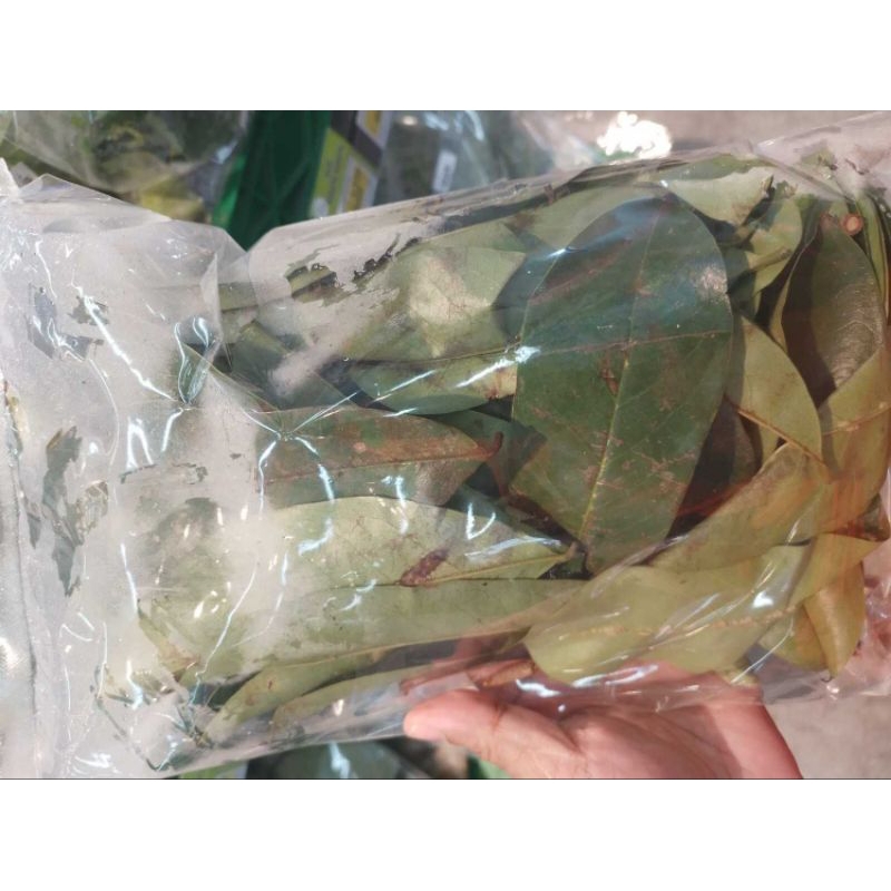 

DAUN SIRSAK / SIRSAT SEGAR 100 GRAM (30-40 LEMBAR)