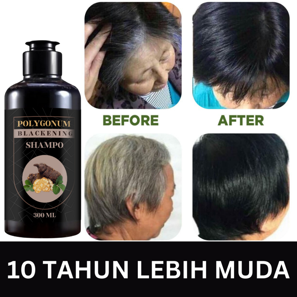 Polygonum Blackening Shampo Atasi, uban, kebotakan, shmapo black herbal Polygonum