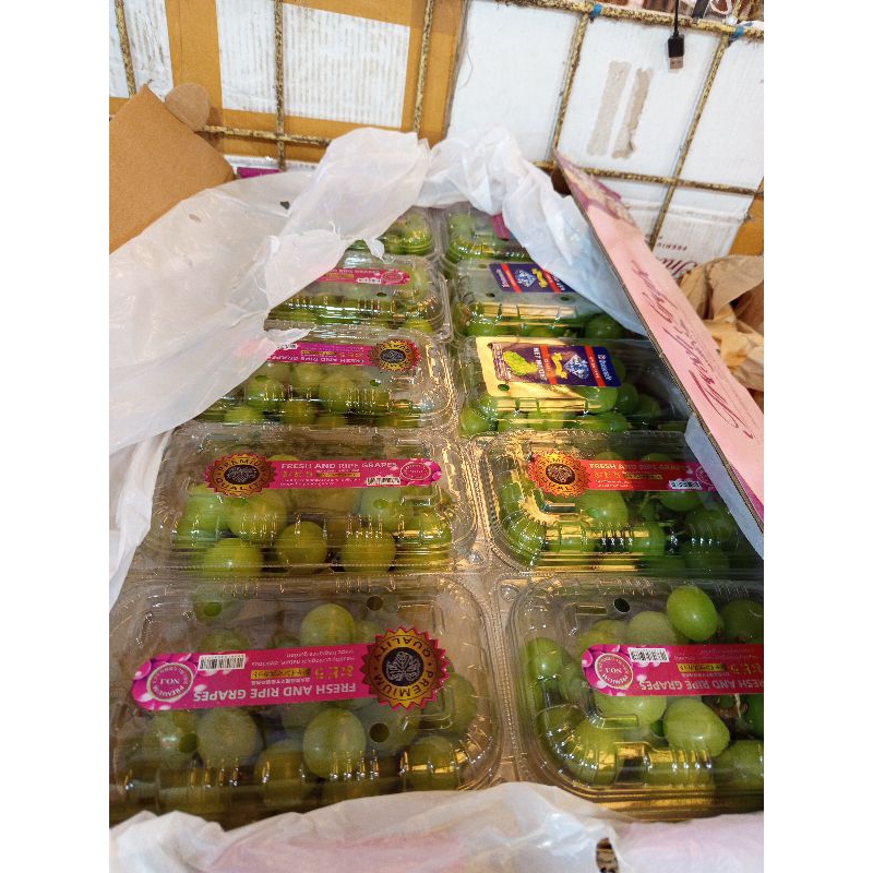 

Anggur Shine Muscat tanpa biji anggur muscat hijau 500gr