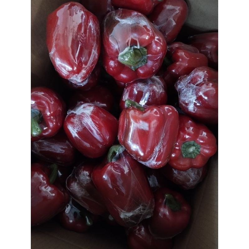 

Paprika Merah / PM / Paprika / Cabai Paprika