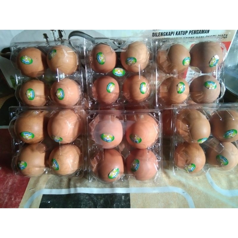 

Telur Asin Ayam 1 Cup (4 Pcs) | Telur Asin Ayam Murah