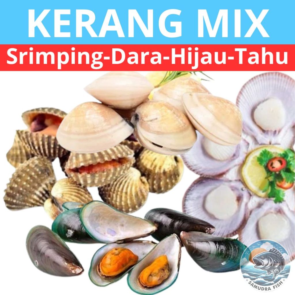 

KERANG MIX (Srimping, Dara, Hijau, Tahu) 800gr | Kerang Semarang | Beli Kerang Segar Semarang | Belanja Kerang Semarang