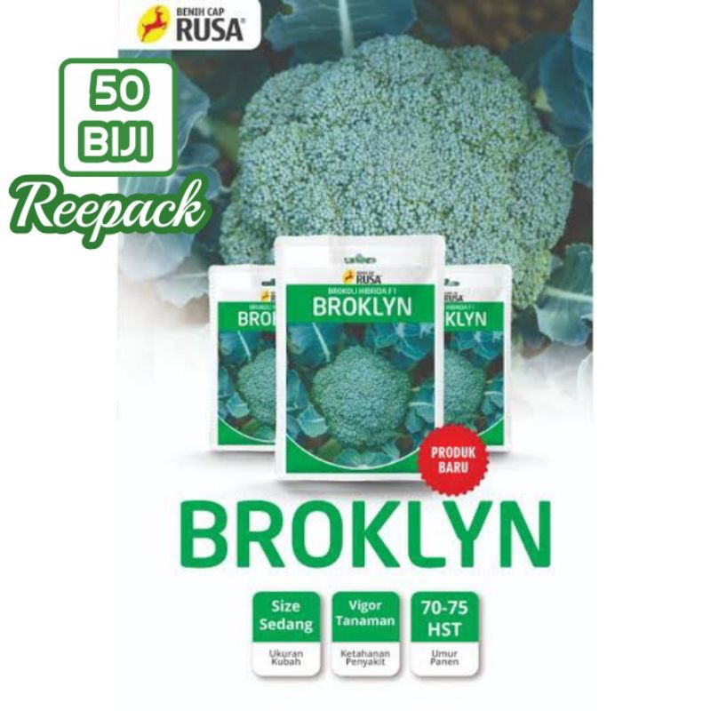 50 Biji Brokoli BROKLYN | Benih Brokoli | Benih Sayuran
