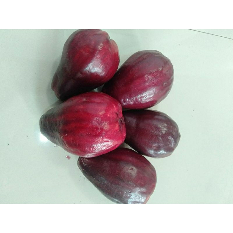 

SETENGAH KILO BUAH JAMBU JAMAIKA/DARSONO ASLI PETIK SENDIRI