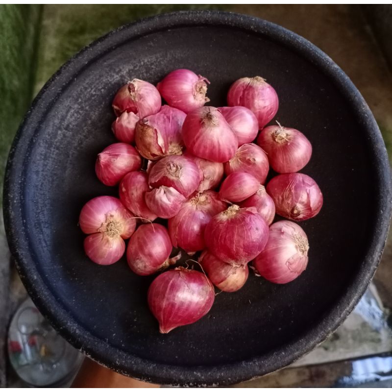 

BAWANG MERAH LOKAL BRAMBANG JOWO BAWANG MERAH MURAH