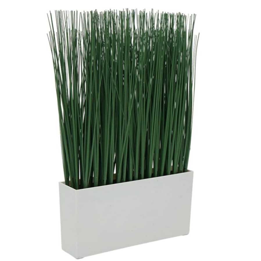 INFORMA TANAMAN ARTIFICIAL ONION GRASS//INFORMA TANAMAN HIAS