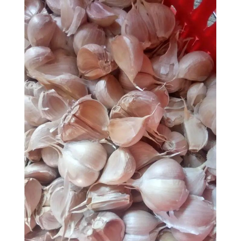 

BAWANG PUTIH KEMASAN 250 GRAM