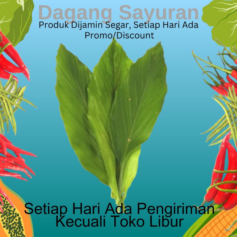 

DAUN KUNYIT/BUMBU DAPUR/BUMBU SEGAR/BUMBU MASAK/JUAL BUMBU/DAGANG BUMBU/PENJUAL BUMBU/PEDAGANG BUMBU/TOKO DAGANG SAYURAN/SERPONG/BSD/BINTARO/CIPUTAT/TANGERANG SELATAN/TANGSEL