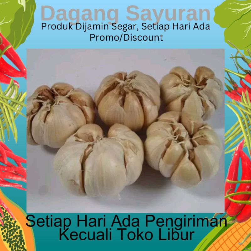 

BAWANG PUTIH SEGAR LANGSUNG DARI SUMBERNYA 250GR-500GR