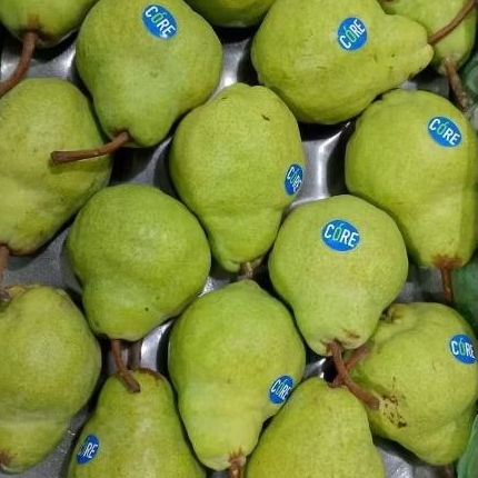 

Pear Packam Afrika