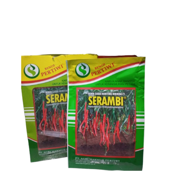 BIBIT CABE KERITING HIBDRIDA SERAMBI