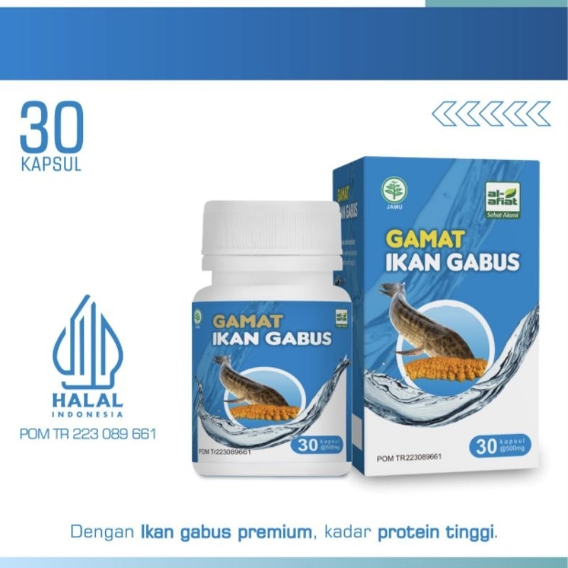 Gamat Ikan Gabus 30 kapsul
