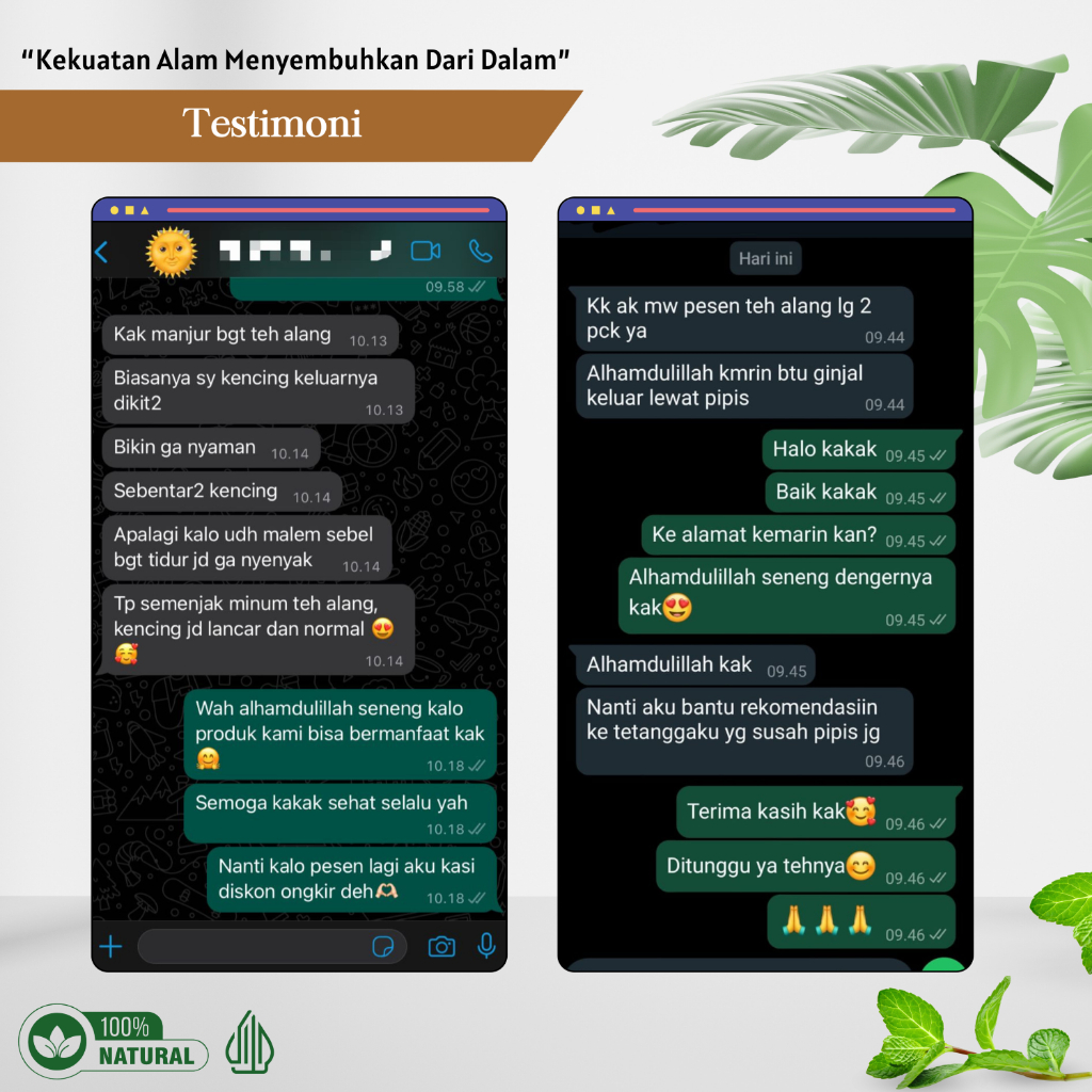 

Paket Teh Celup Herbal Akar Alang Alang Obat Gagal Ginjal Cuci Darah Prostat Kemih Kencing Berbusa