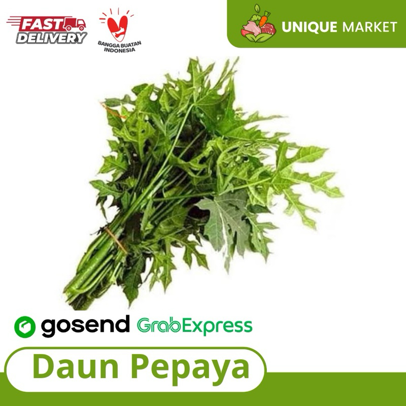

Daun pepaya 1 ikat
