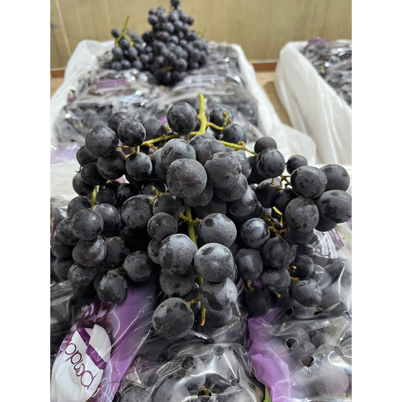 

Anggur Summer Royal USA 1 Dus (8.5 KG) Fresh Import