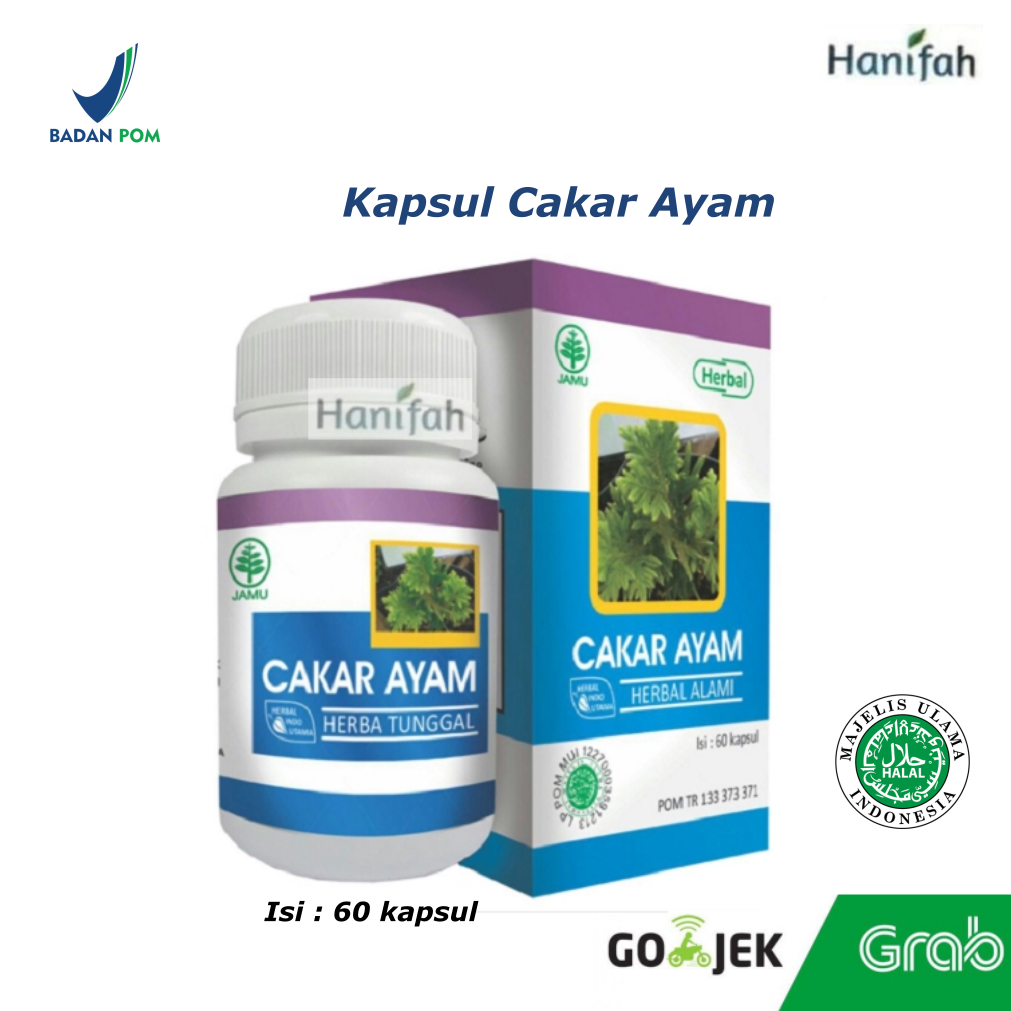 

HIU Cakar Ayam Herbal