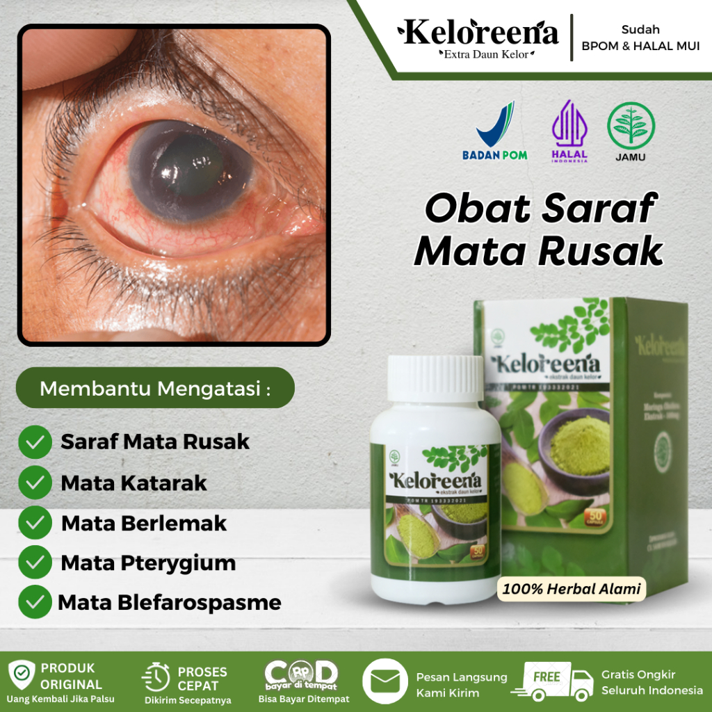 Keloreena Kapsul - Obat Saraf Mata Rusak & Lemah, Blefarospasme, Mata Kedutan Terus Menerus, Saraf M