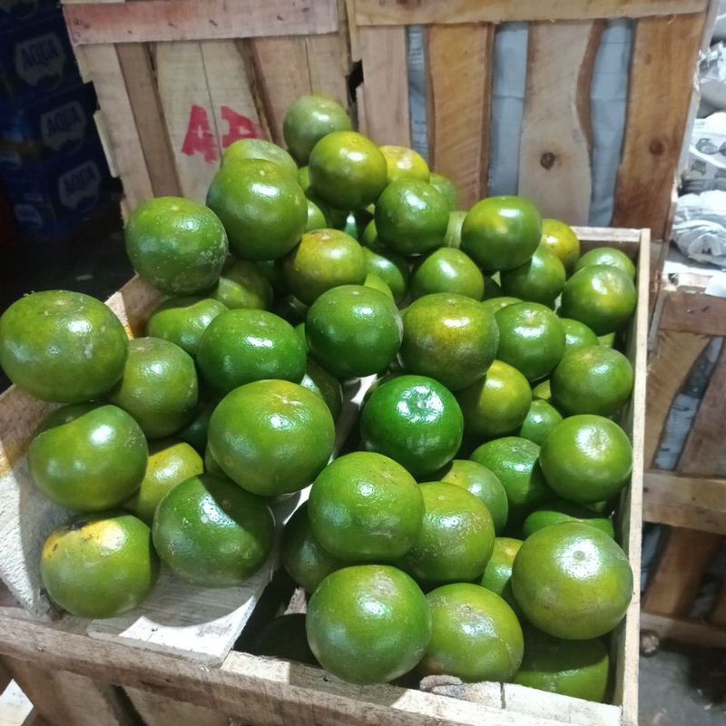 

Jeruk Peras Pontianak 500g