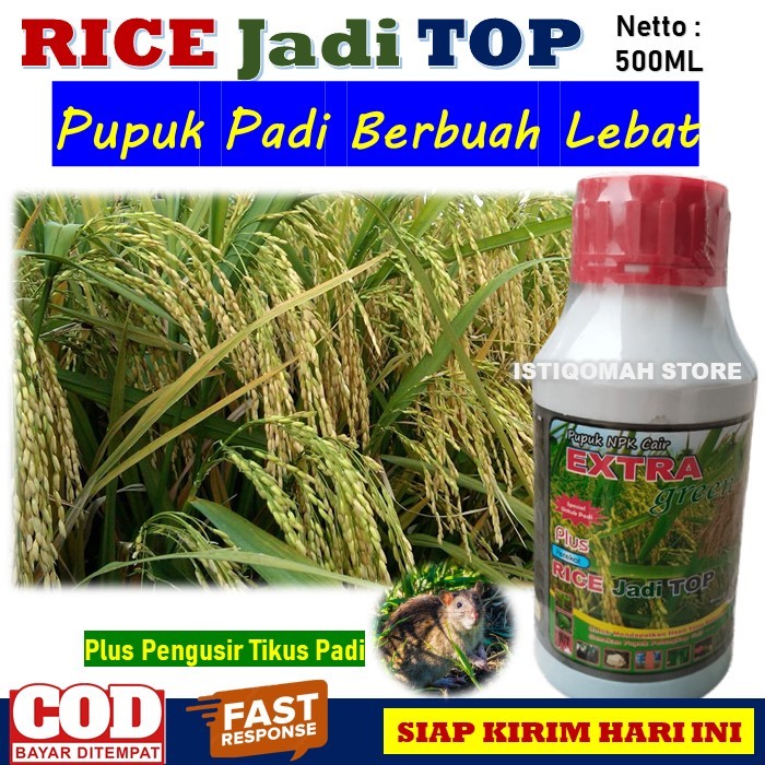 Pupuk NPK Tanaman Padi Bagus Buah Lebat RICE JADI TOP 500ML Pupuk Untuk Penghilang Hama Tanaman Dan 