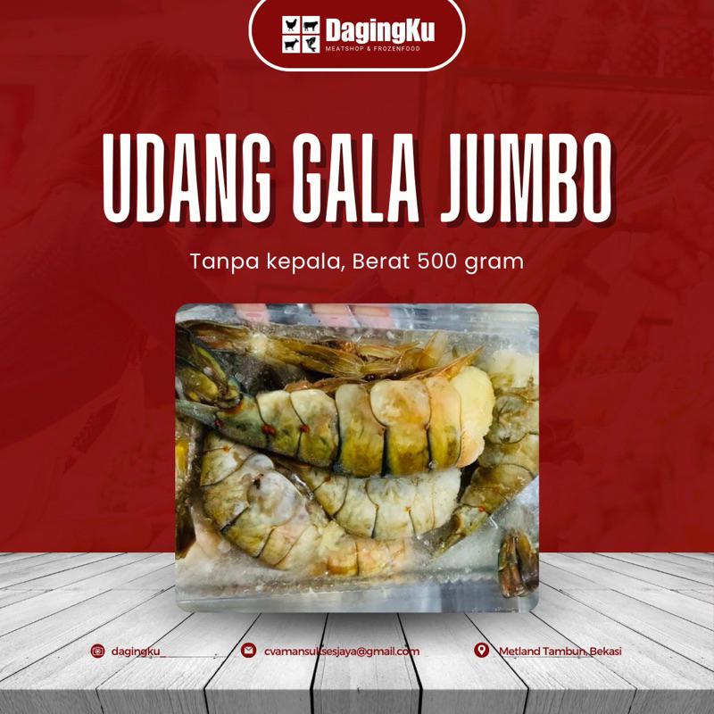 

Udang Gala Jumbo Tanpa Kepala 500Grm/Udang Gala Jumbo FRESH HALAL