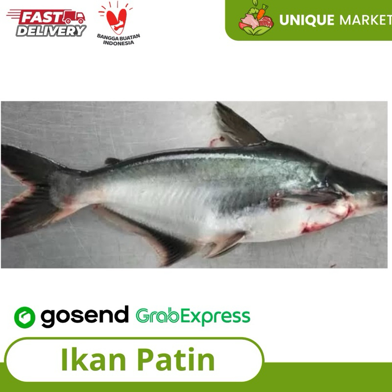 

Ikan Patin Segar