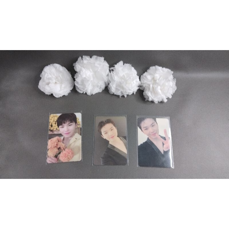 woozi photocard album your choice