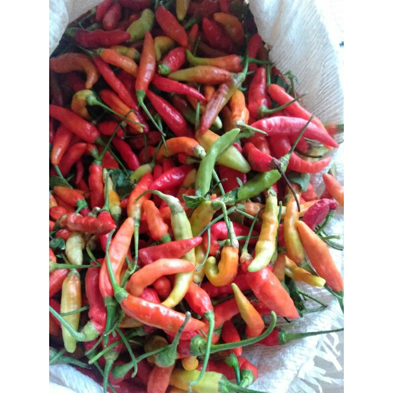 

cabe merah kecil fresh/500gr