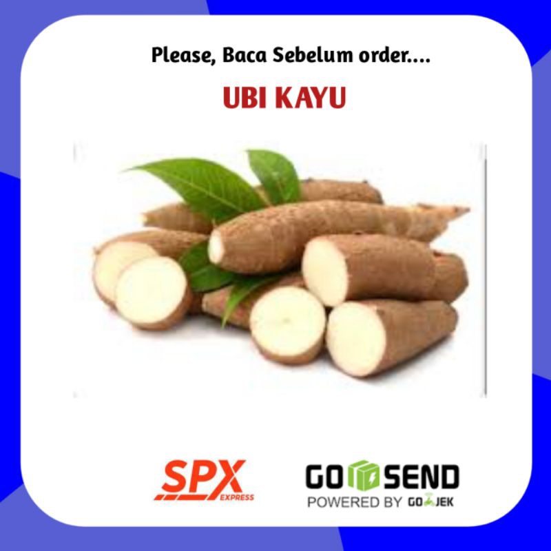 

Ubi Kayu Segar 1kg - Sayur Sayuran Segar Palembang