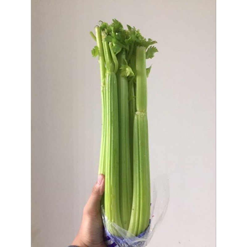 

celedri stick seledri batang