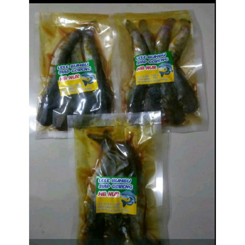 

lele bumbu siap goreng