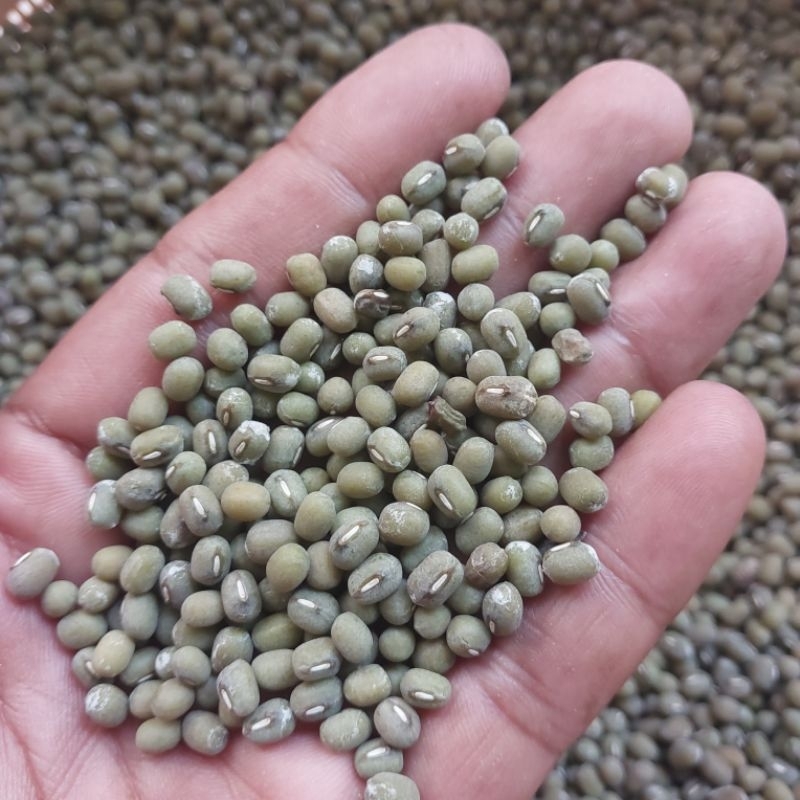 

1Kg Kacang Tanah / Kacang ijo Hijau