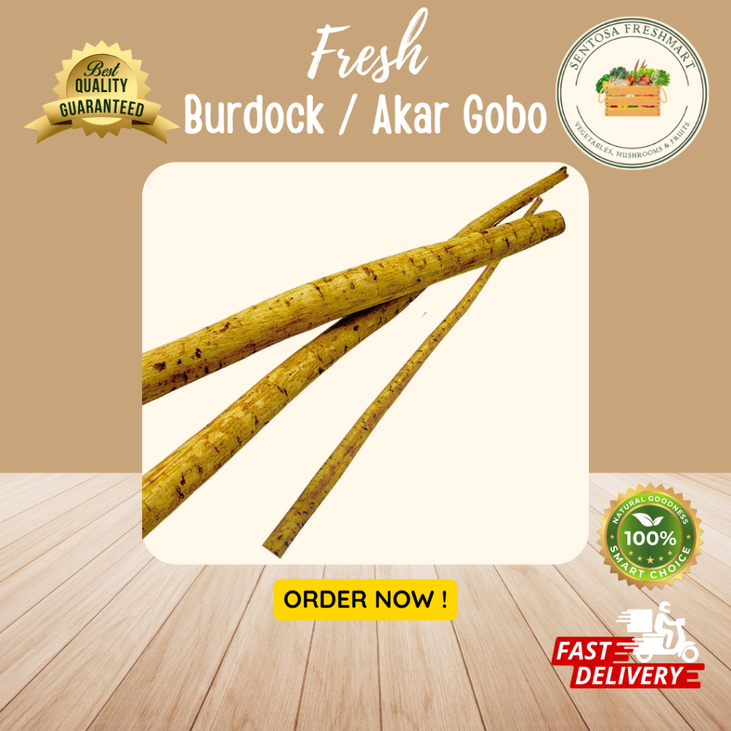 

[SENTOSA FRESHMART] BURDOCK (AKAR GOBO/AKAR KETELA JEPANG) per BOX @10KG