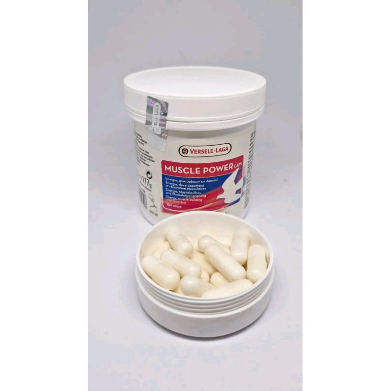 MUSCLE POWER VERSELE LAGA