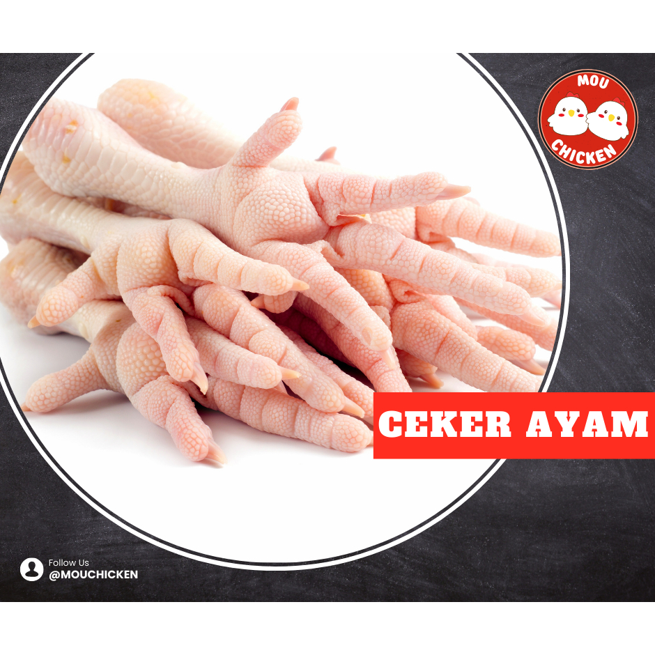 

Ceker Ayam Bersih tanpa kuku dan kulit Fresh & Frozen Bandung