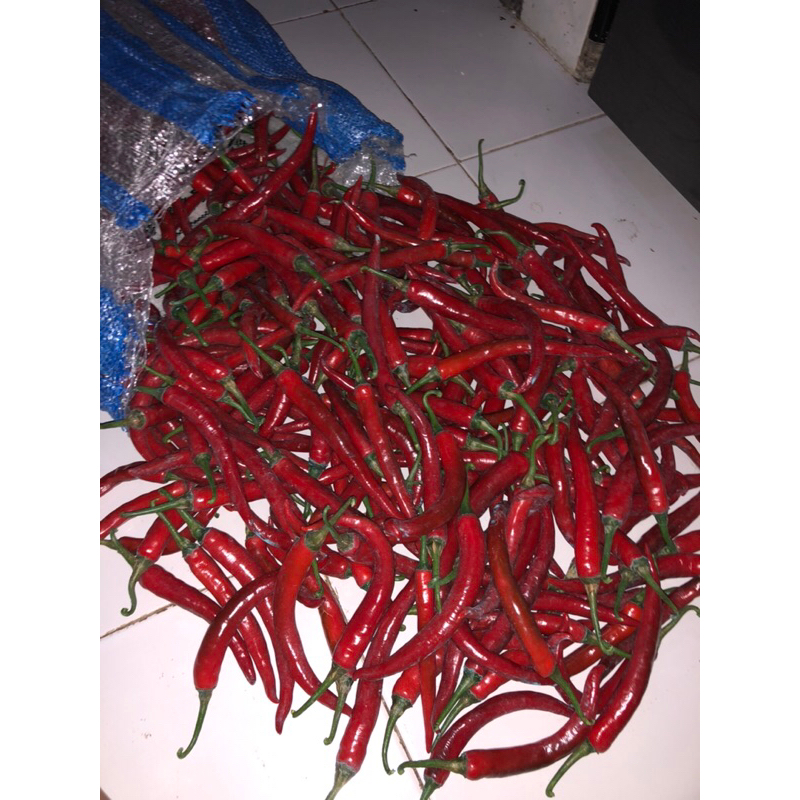 

CABE MERAH BESAR 1 kg