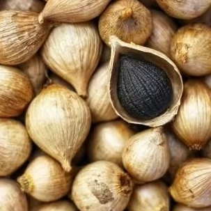 

black garlic bawang hitam tunggal asyifa 100gr