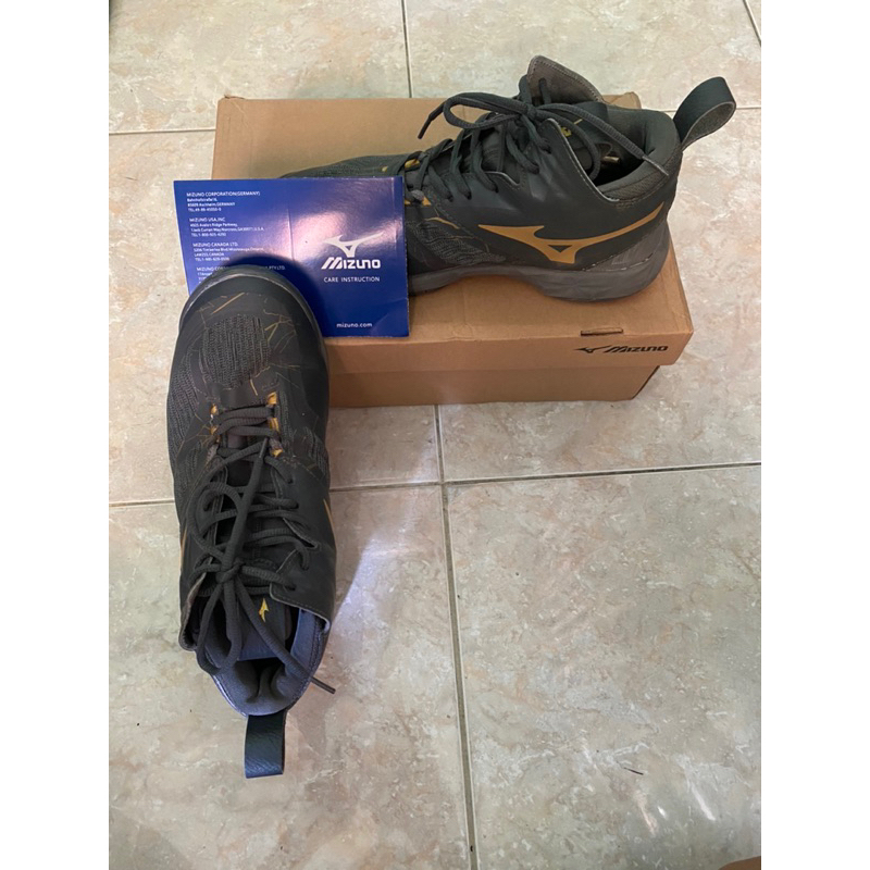 Mizuno Wave momentum 2