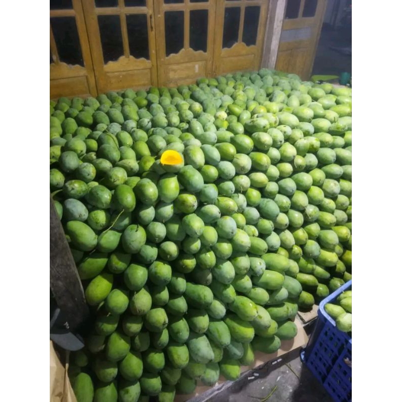 

Mangga harum manis setengah matang fress/segar 1kg