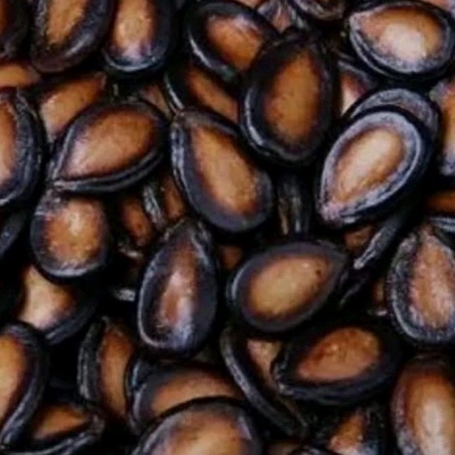 

NEW PRODUCT KUACI HITAM 25gram