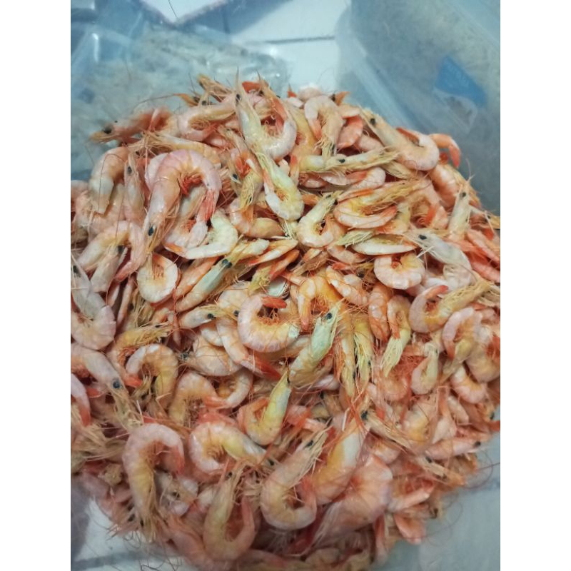 

teri medan
